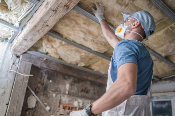 Best Insulation Installation Services in Oakwood, GA